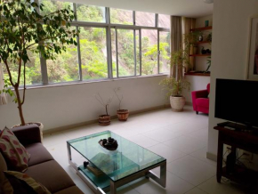 Vista verde em Botafogo